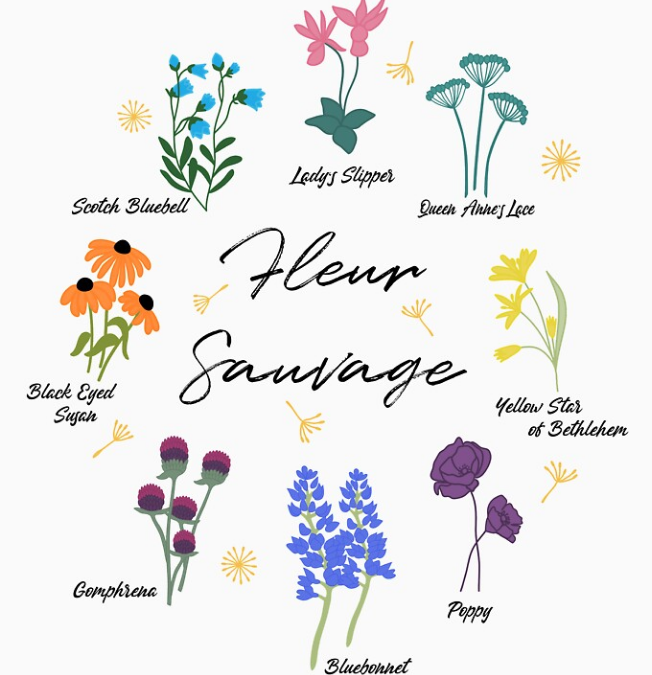 Wildflower Two